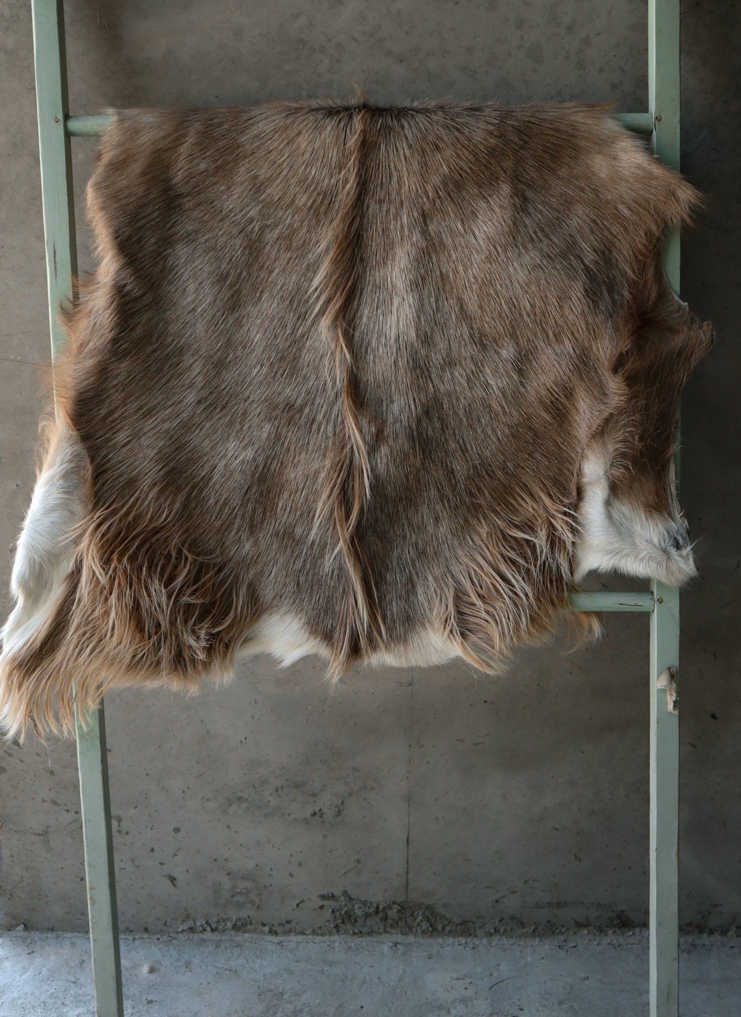 Cornish Goat Hide Beige