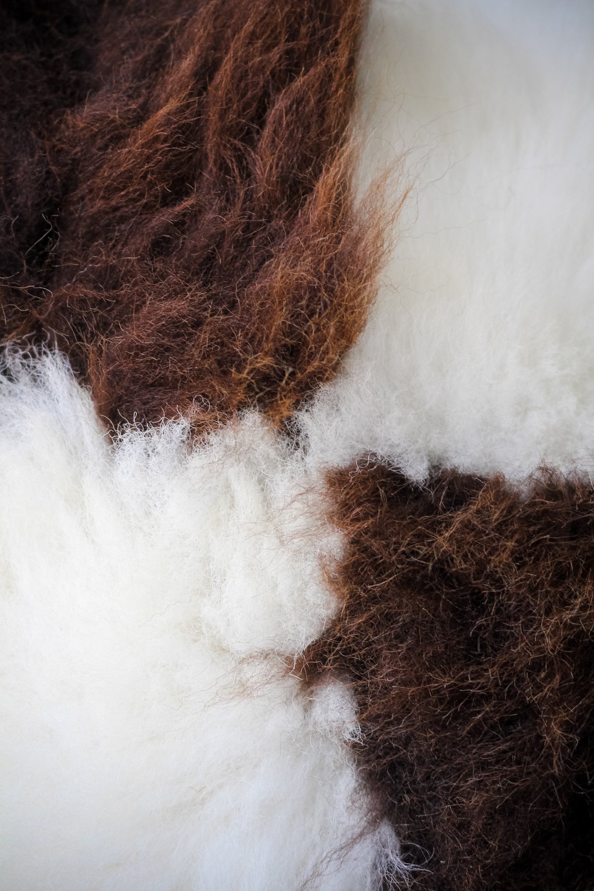 White and Brown Closewool Cushion