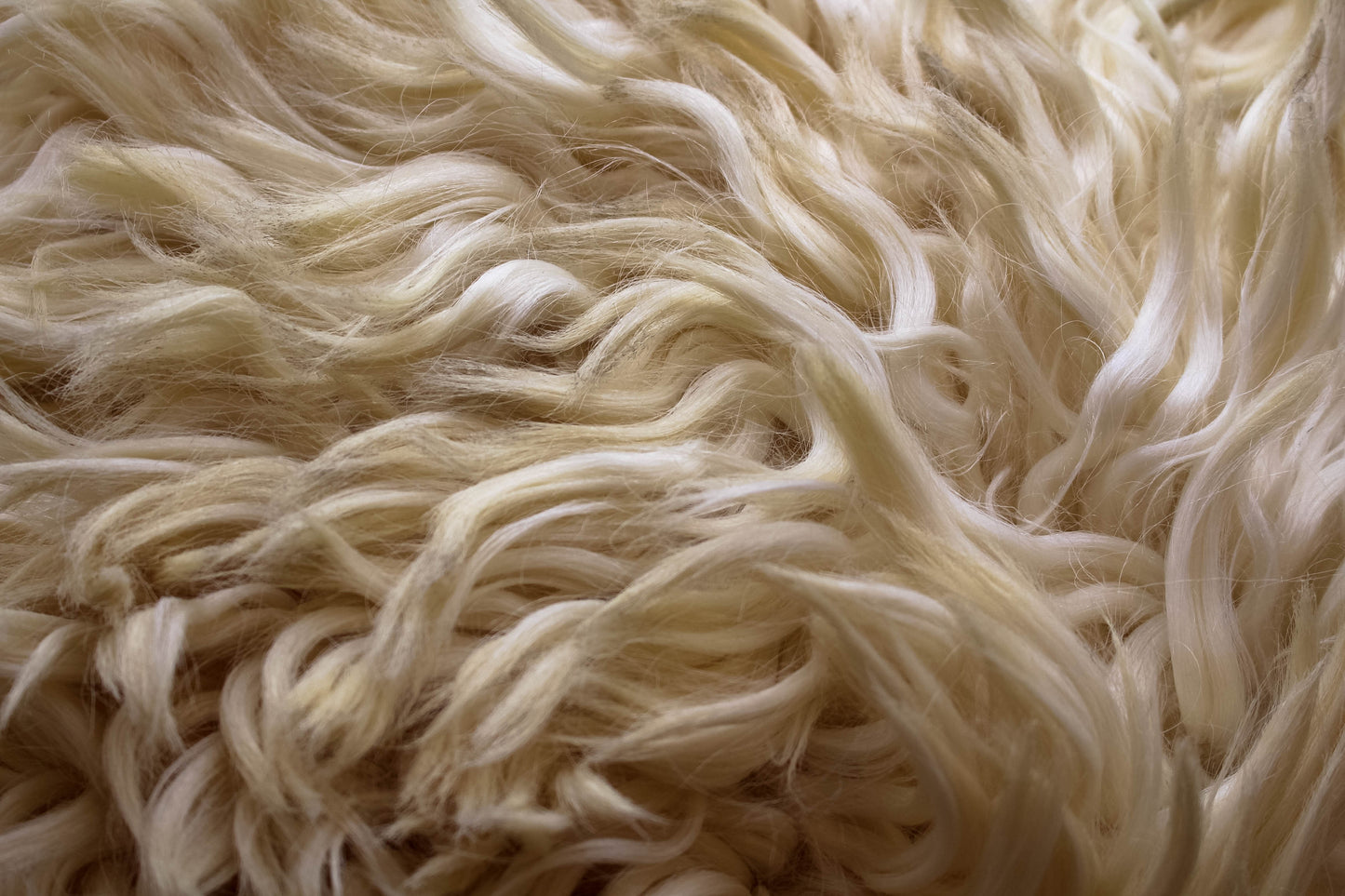 Greyface Dartmoor Three Legged Stool