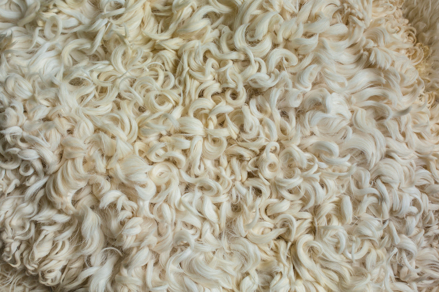 Devon & Cornwall Longwool Sheepskin Rug