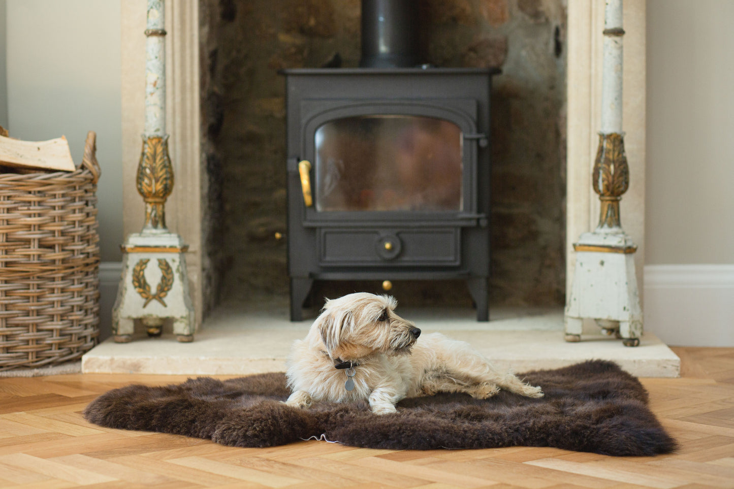 Welsh Mountain Brown Sheepskin