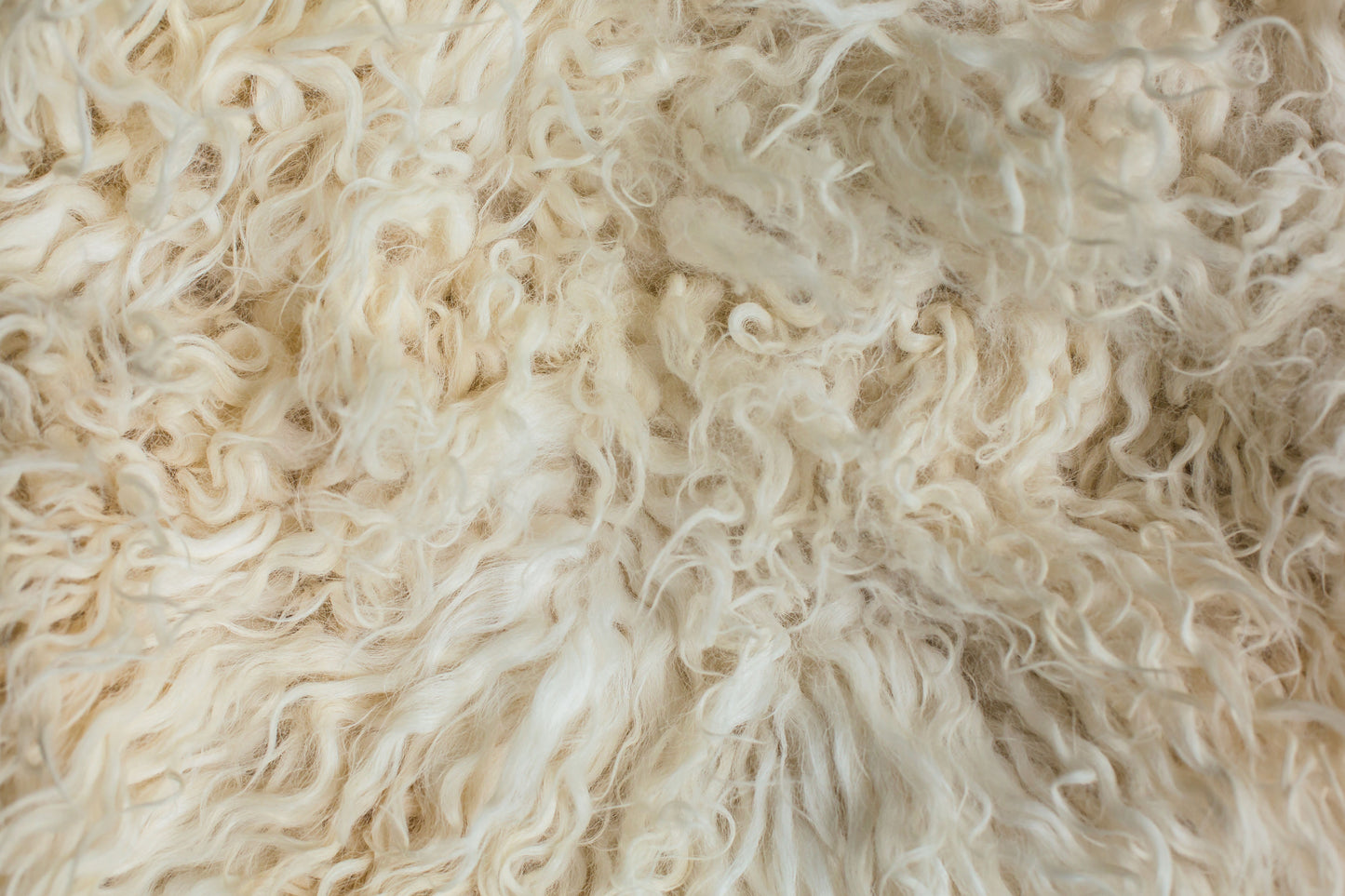 Whiteface Dartmoor Cross Sheepskin