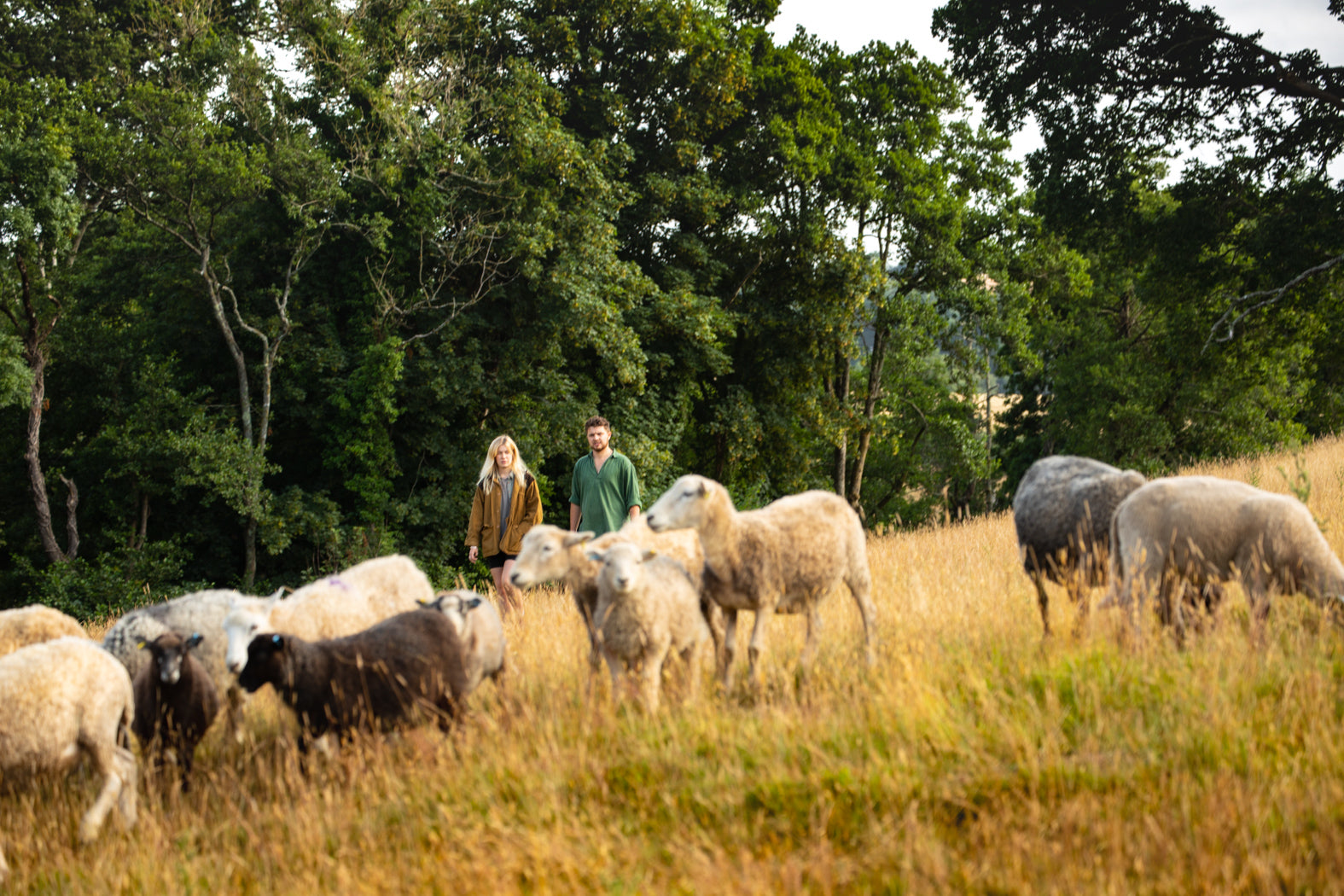 Shipping – The Dartmoor Shepherd