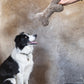 Sheepskin Dog Bones