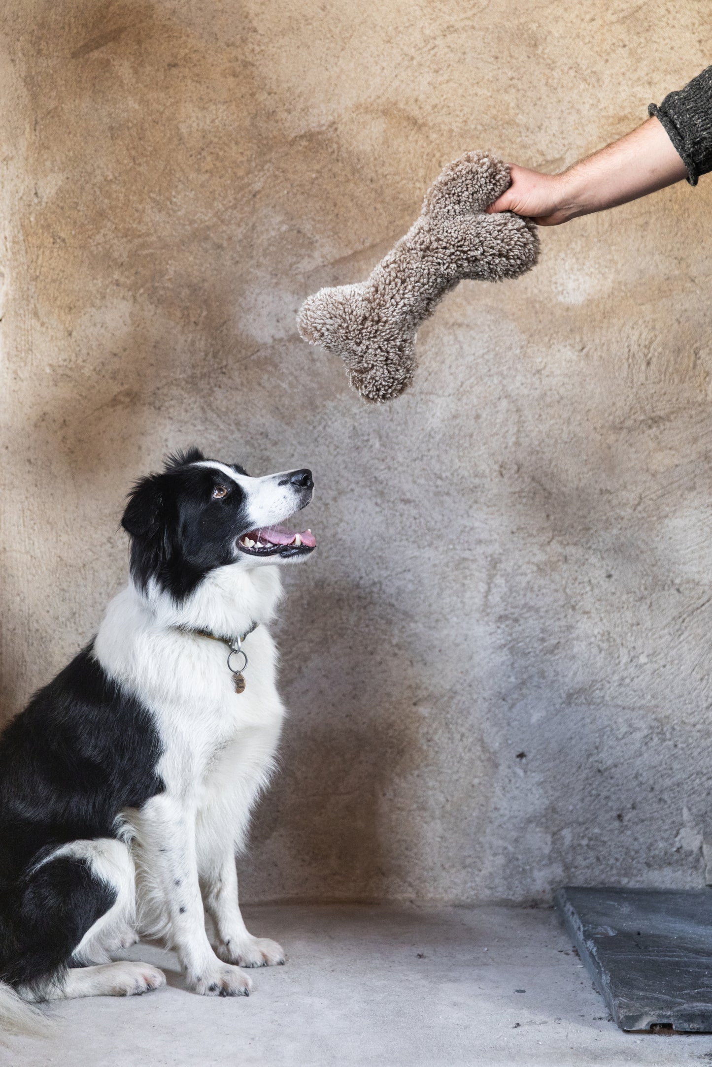 Sheepskin Dog Bones