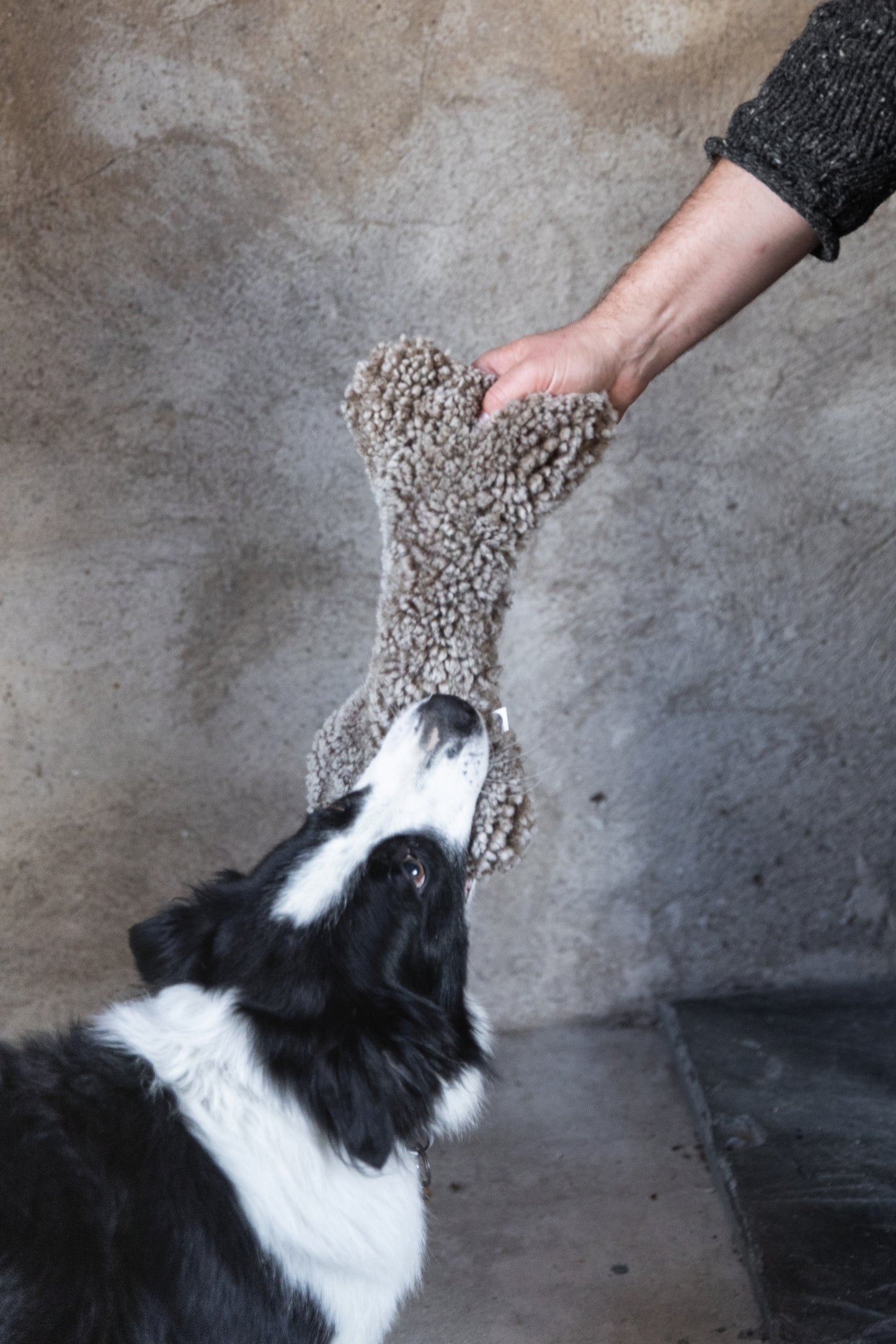 Sheepskin Dog Bones