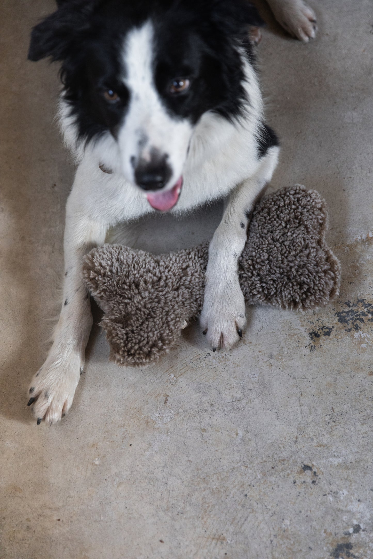 Sheepskin Dog Bones