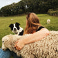 Lambing Farm Tour Experience  |  Mon 21st April  |  14:30pm