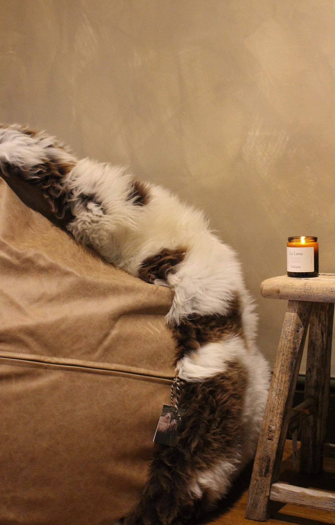 Giant Jacob Bean Bag