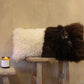 Brown welsh Mountain x Whiteface Dartmoor Cushion
