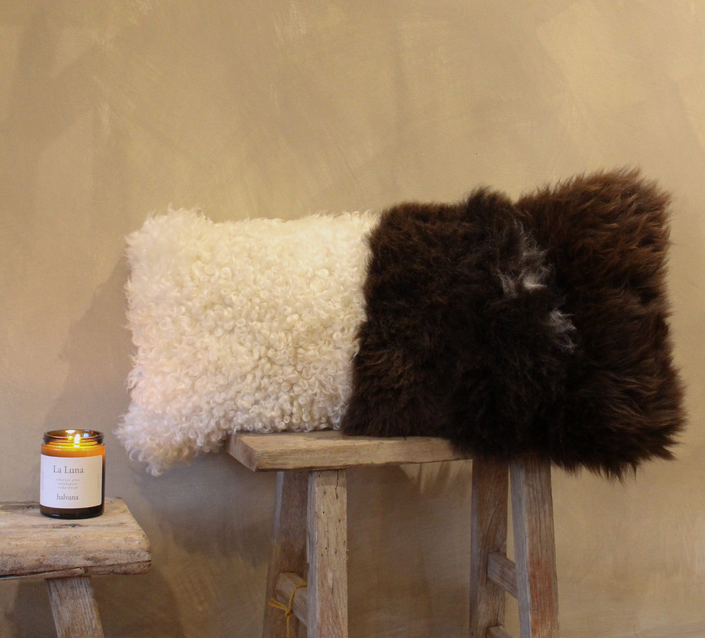 Brown welsh Mountain x Whiteface Dartmoor Cushion