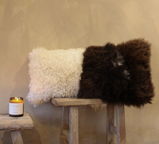 Brown welsh Mountain x Whiteface Dartmoor Cushion