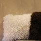 Brown welsh Mountain x Whiteface Dartmoor Cushion