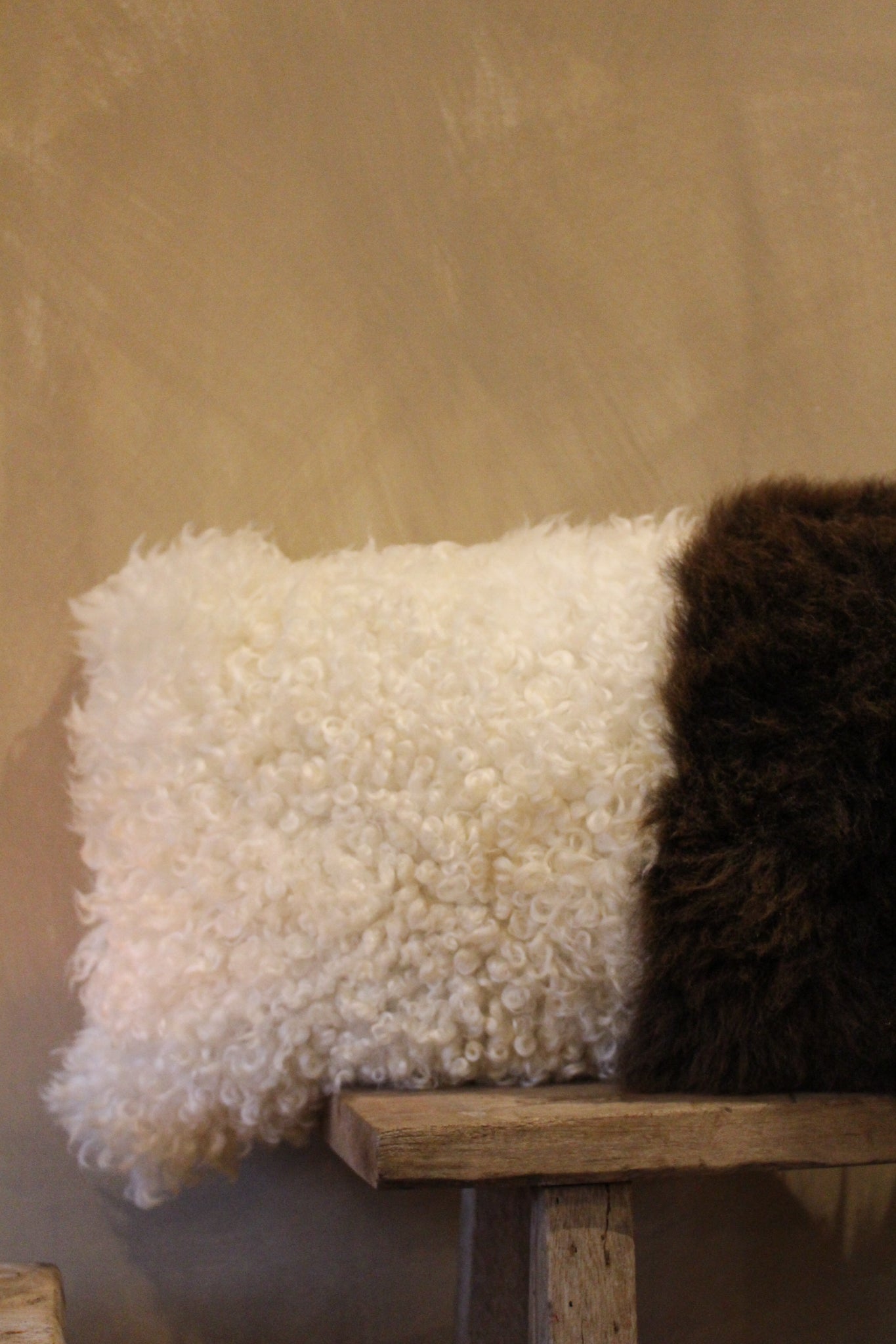 Brown welsh Mountain x Whiteface Dartmoor Cushion