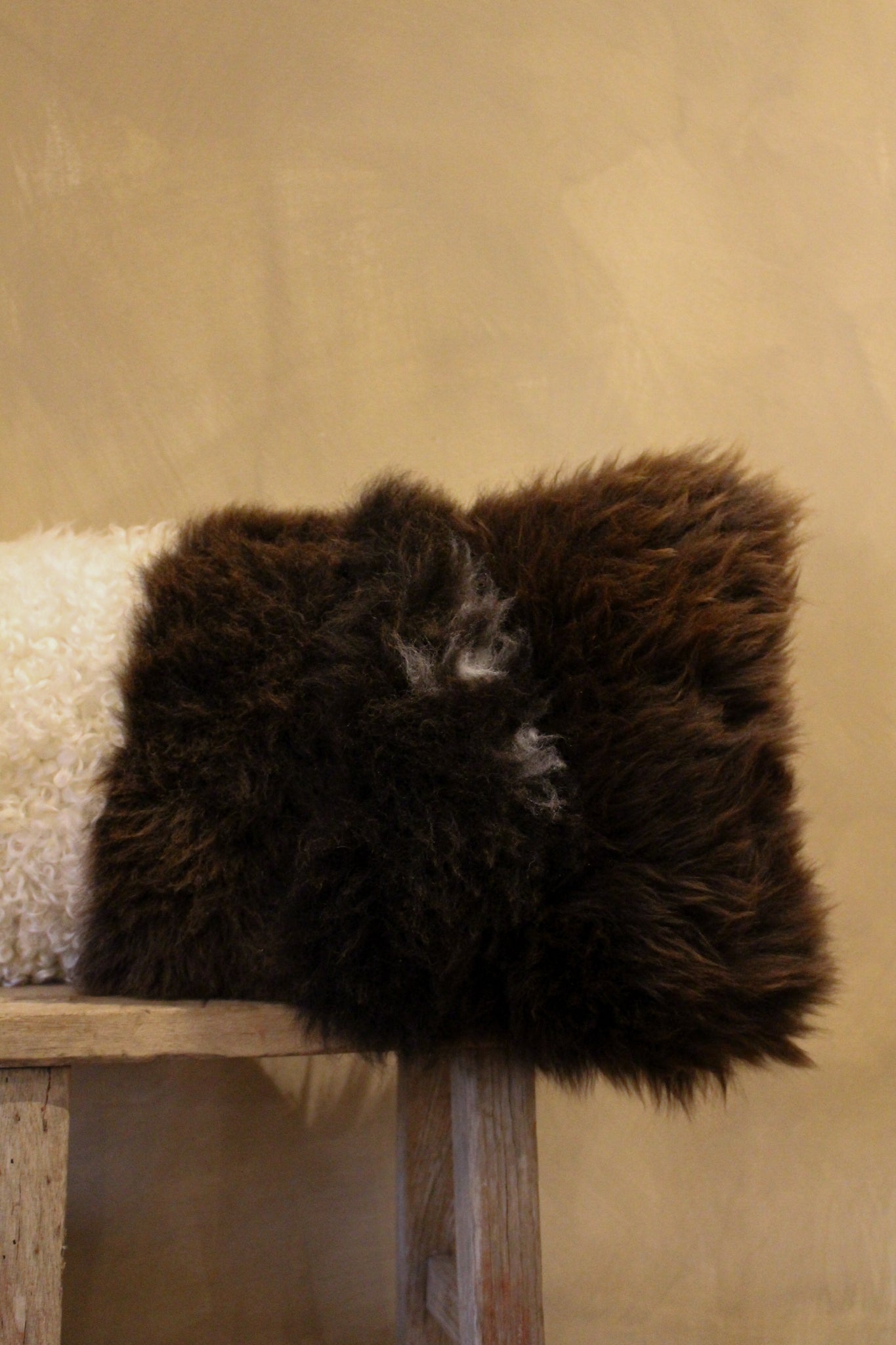 Brown welsh Mountain x Whiteface Dartmoor Cushion