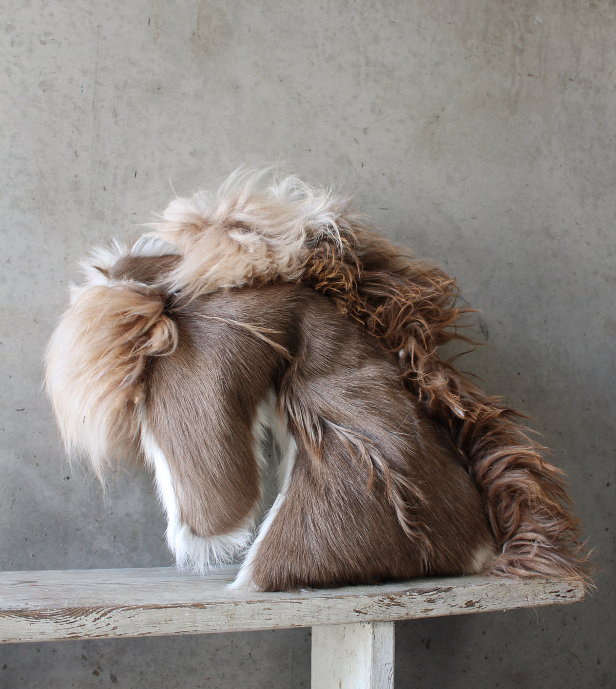 Horse Cushion Two