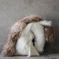 Horse Cushion Two