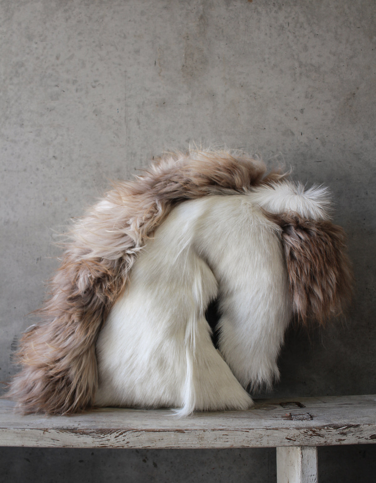 Horse Cushion Two