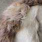 Horse Cushion Two