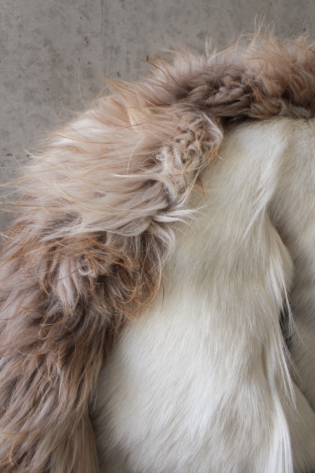 Horse Cushion Two