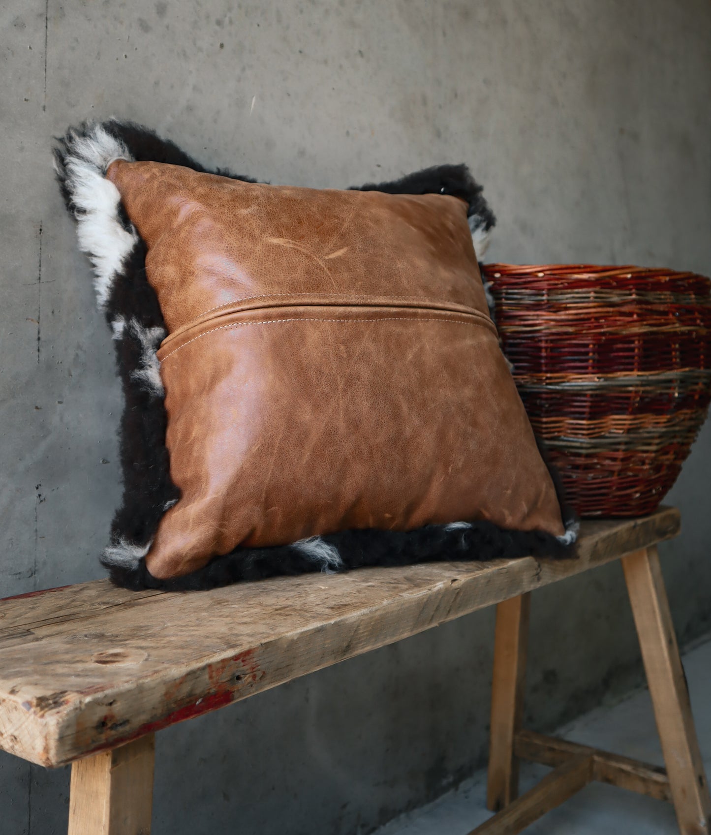 Darker Jacob Cushion