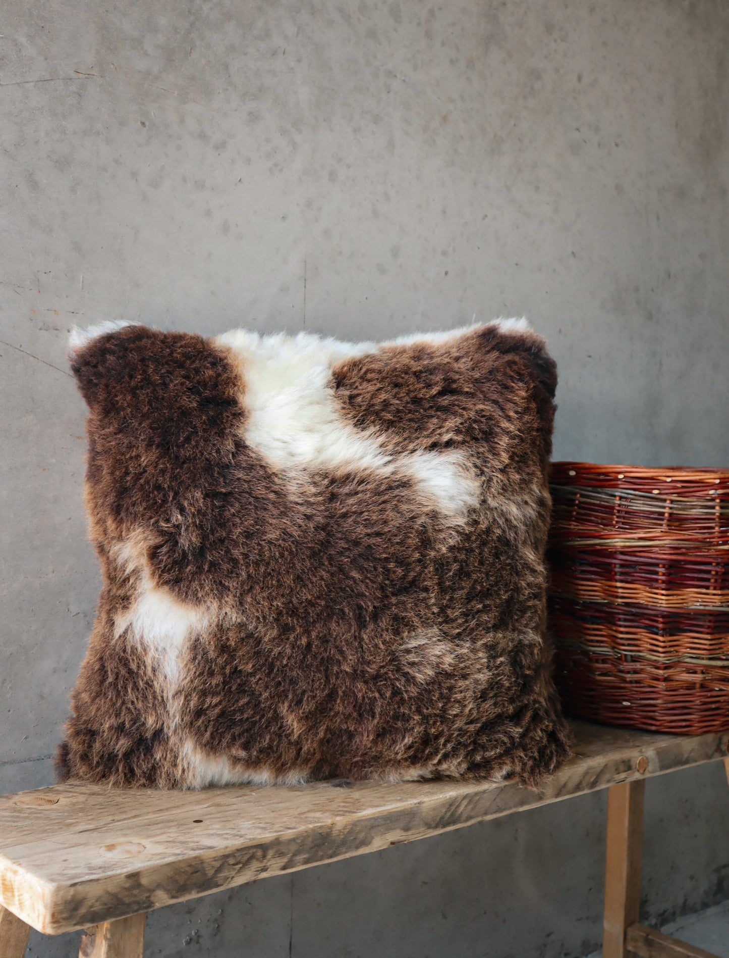 Jacob Cushion