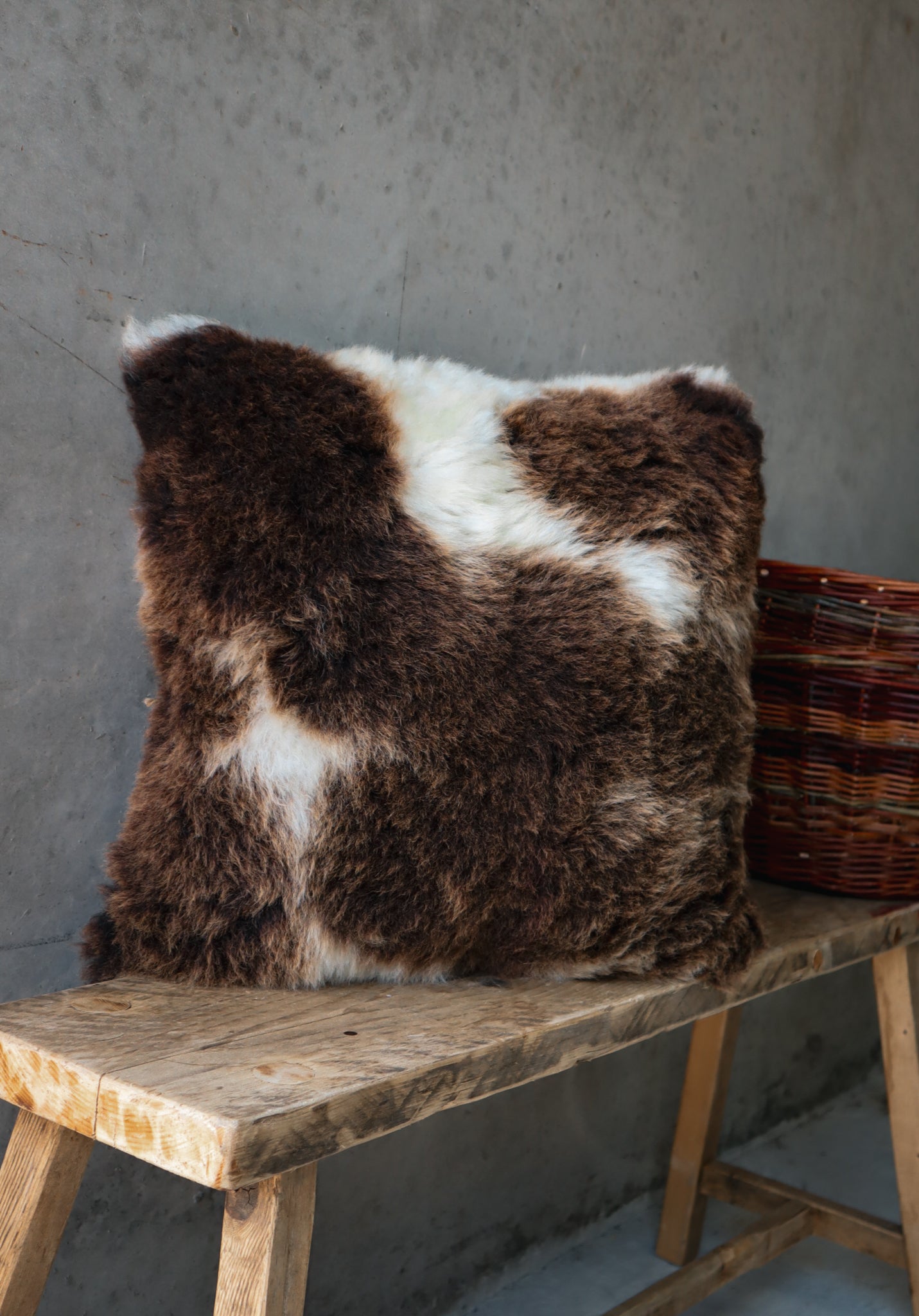 Jacob Cushion
