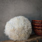 Circle White Sheepskin Cushion