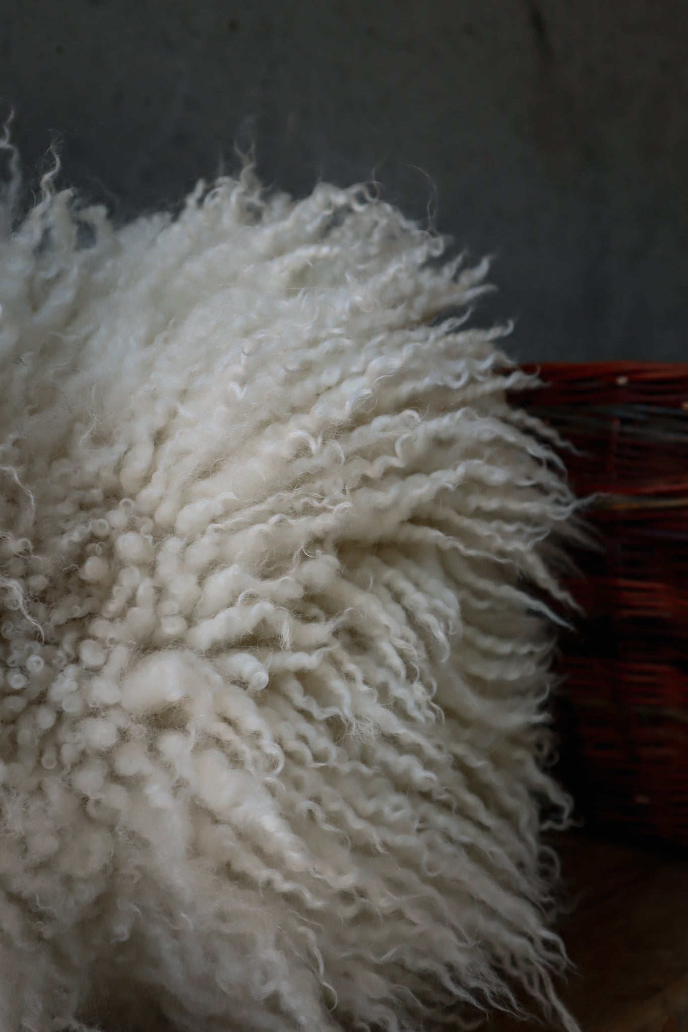 Dartmoor Longwool Cushion