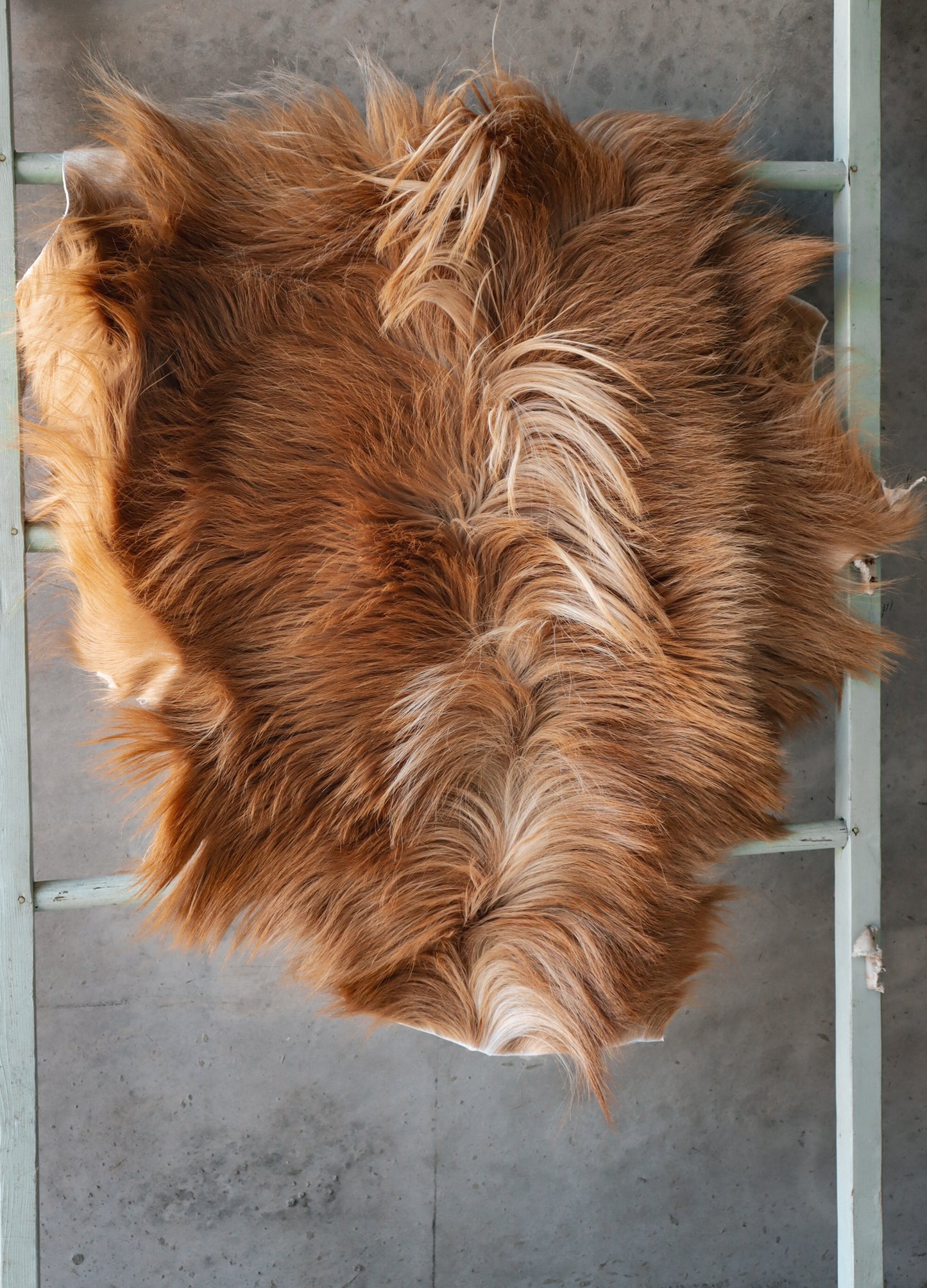 Cornish Goat Hide Ginger