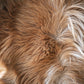 Cornish Goat Hide Ginger
