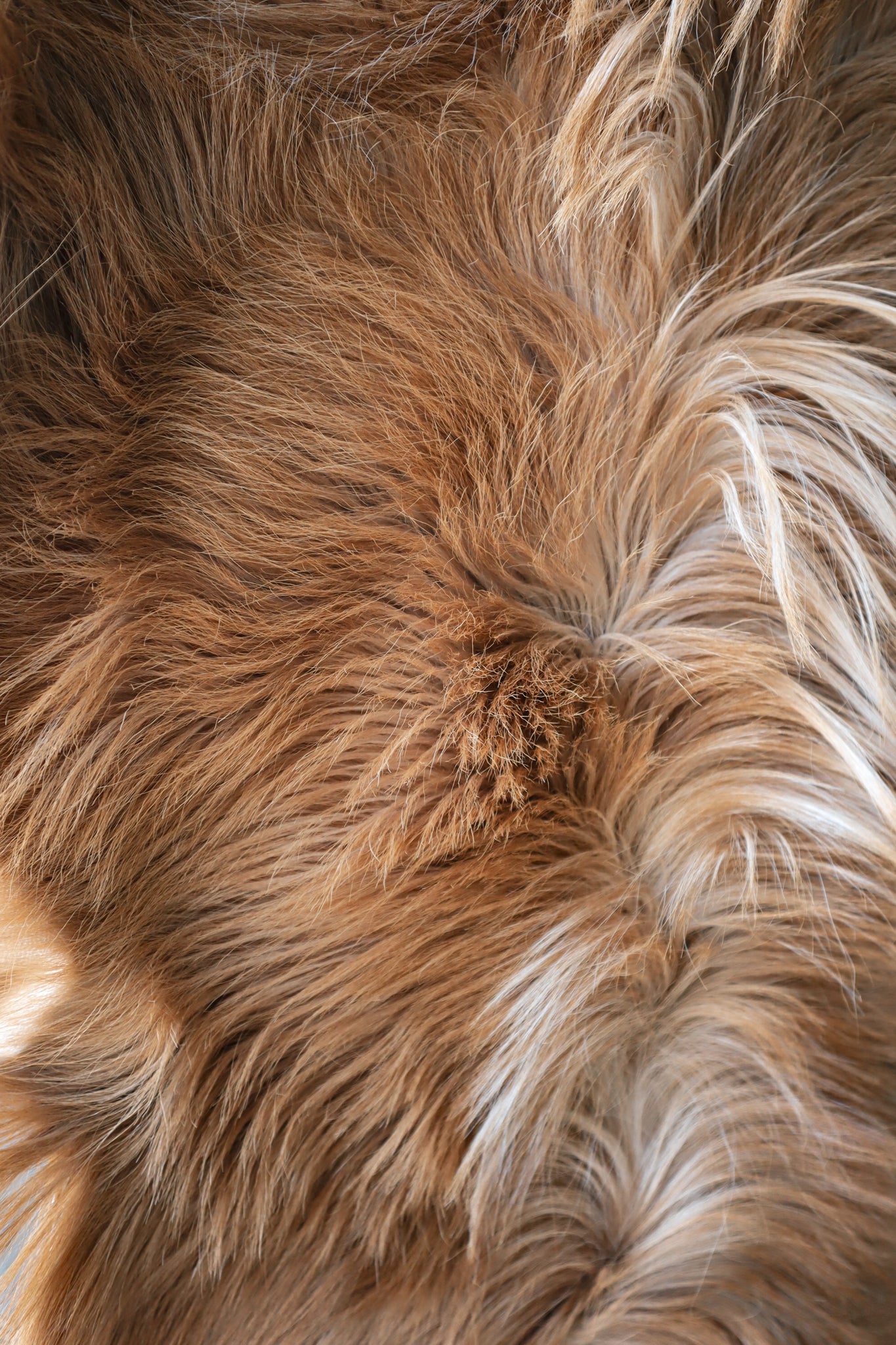 Cornish Goat Hide Ginger