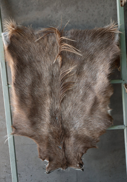 Cornish Goat Hide Beige