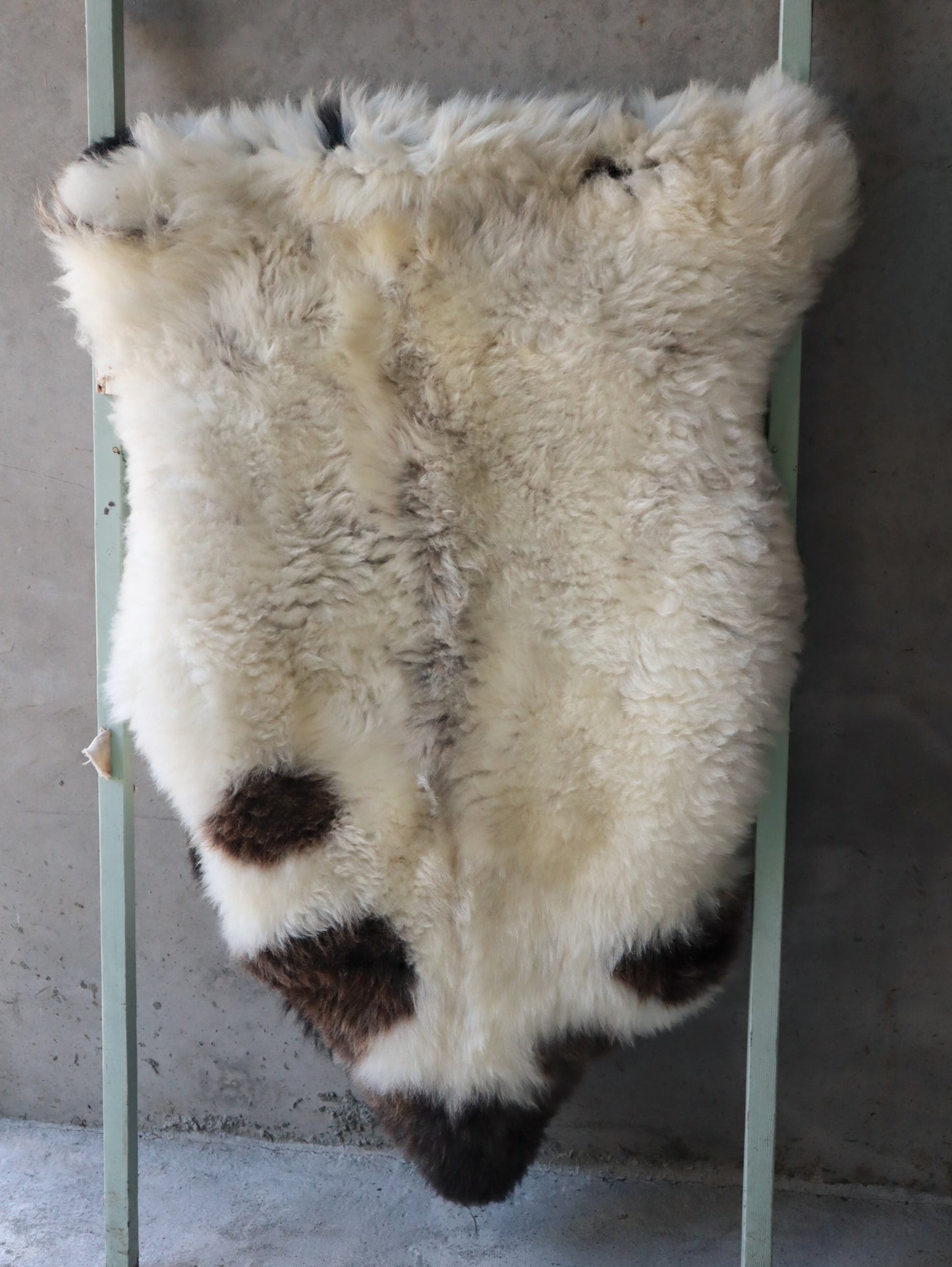 Double Jacob Rug