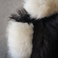 Horse Cushion One