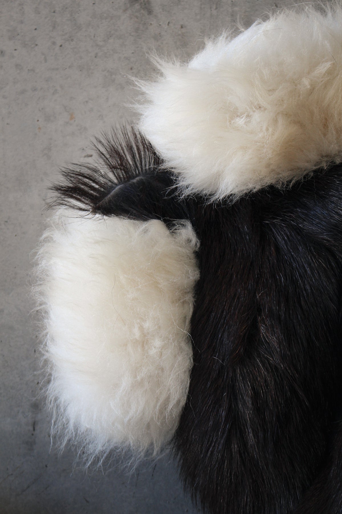 Horse Cushion One