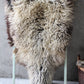 Giant Longwool Sheepskin Rug