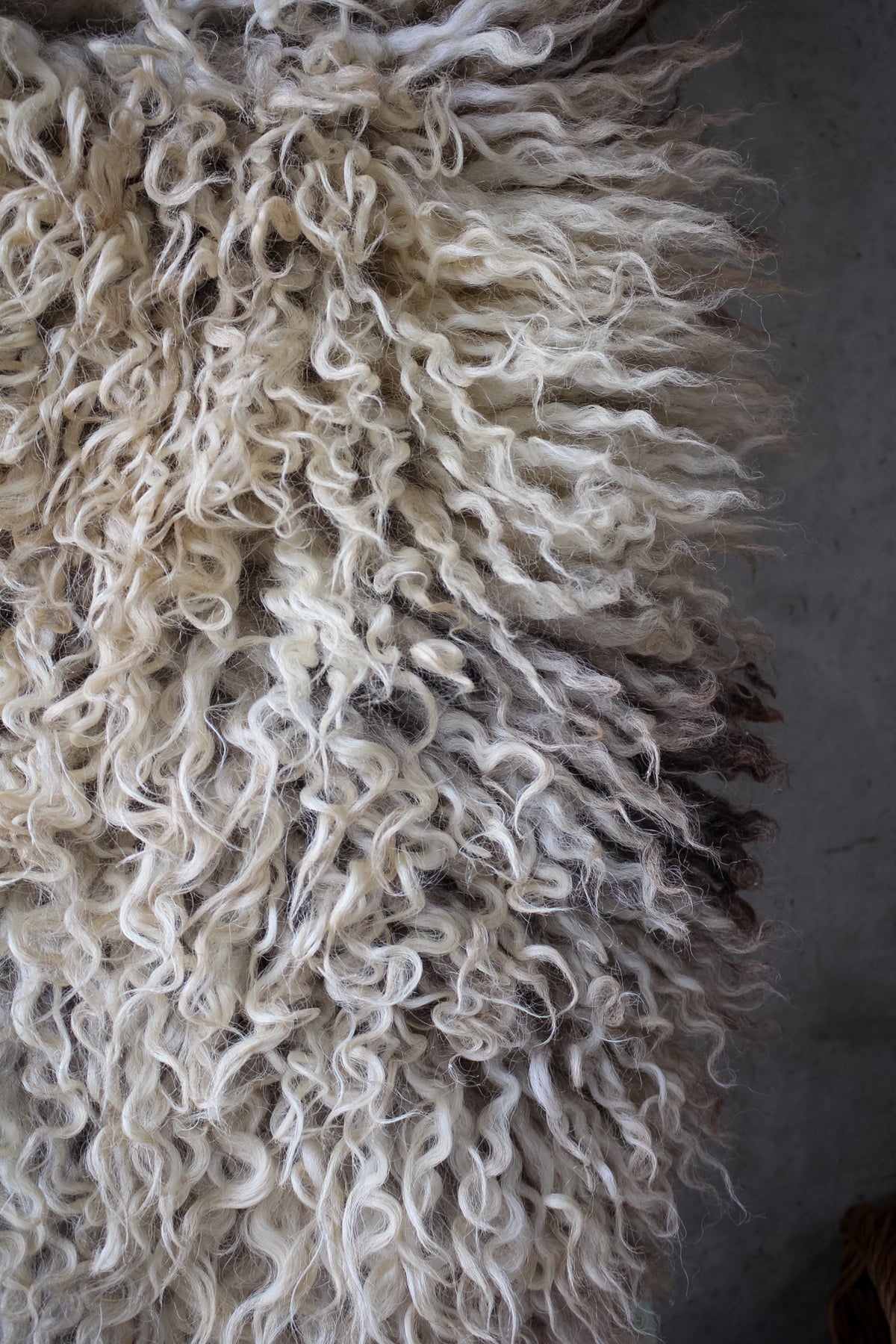Giant Longwool Sheepskin Rug