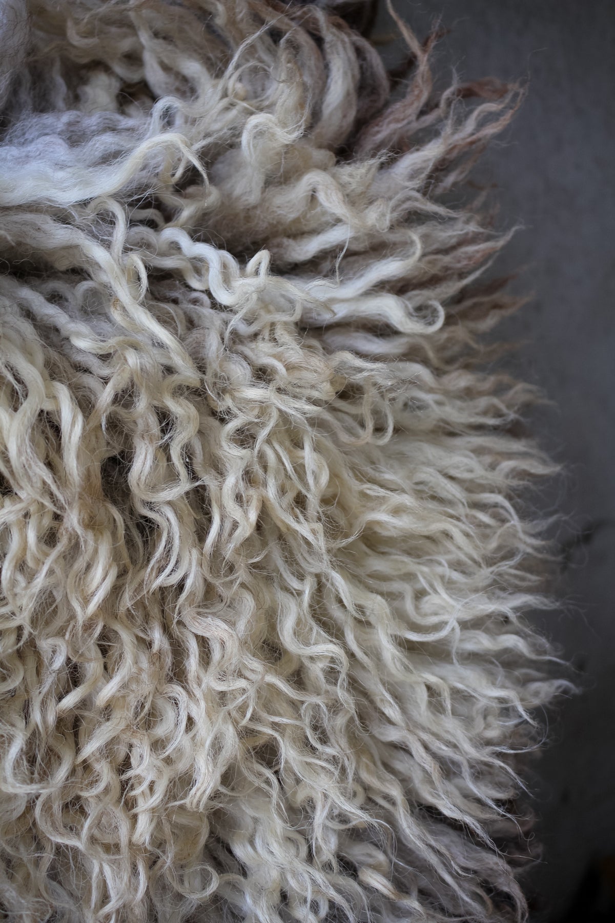 Giant Longwool Sheepskin Rug