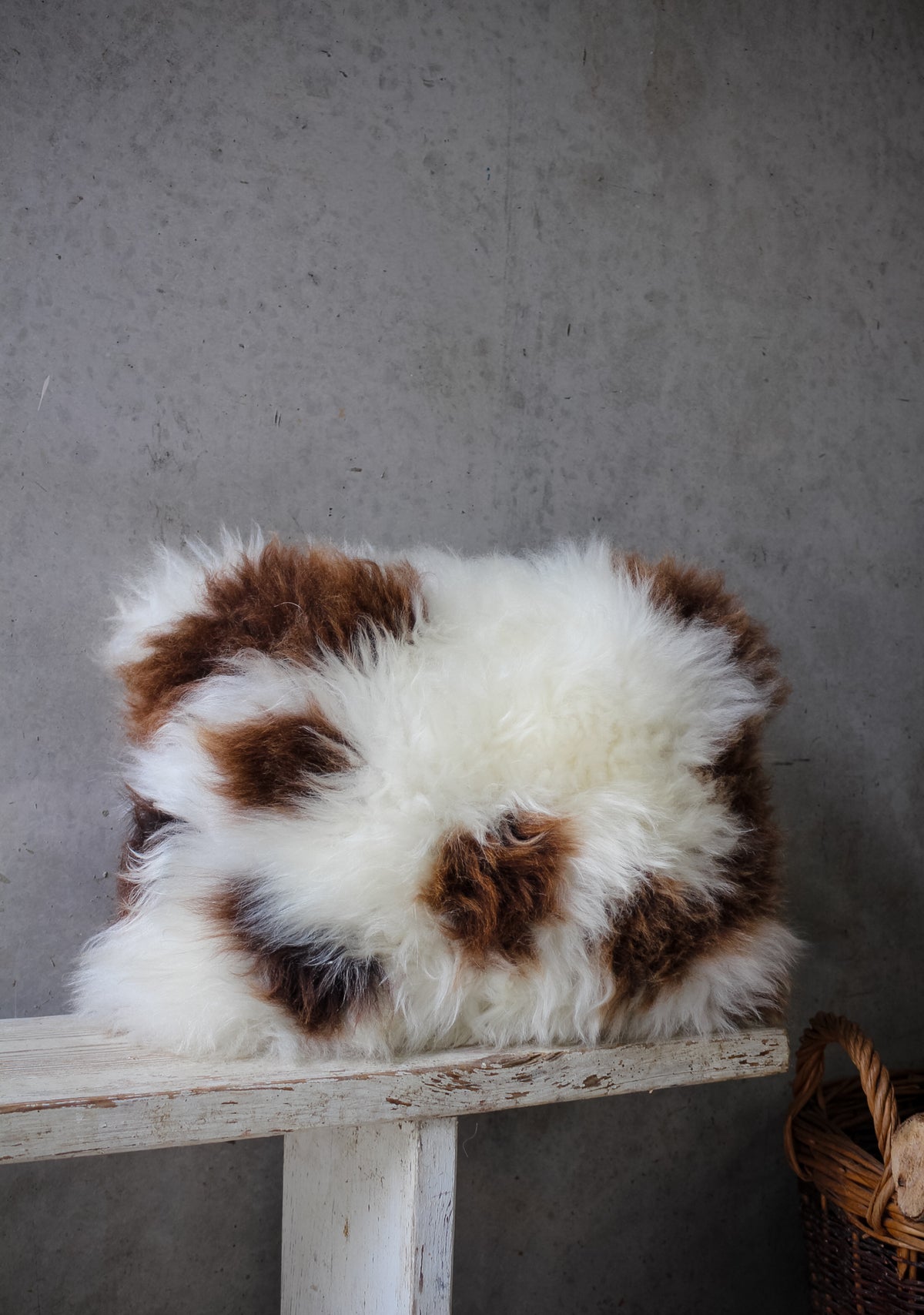 Jacob Rectangle Cushion