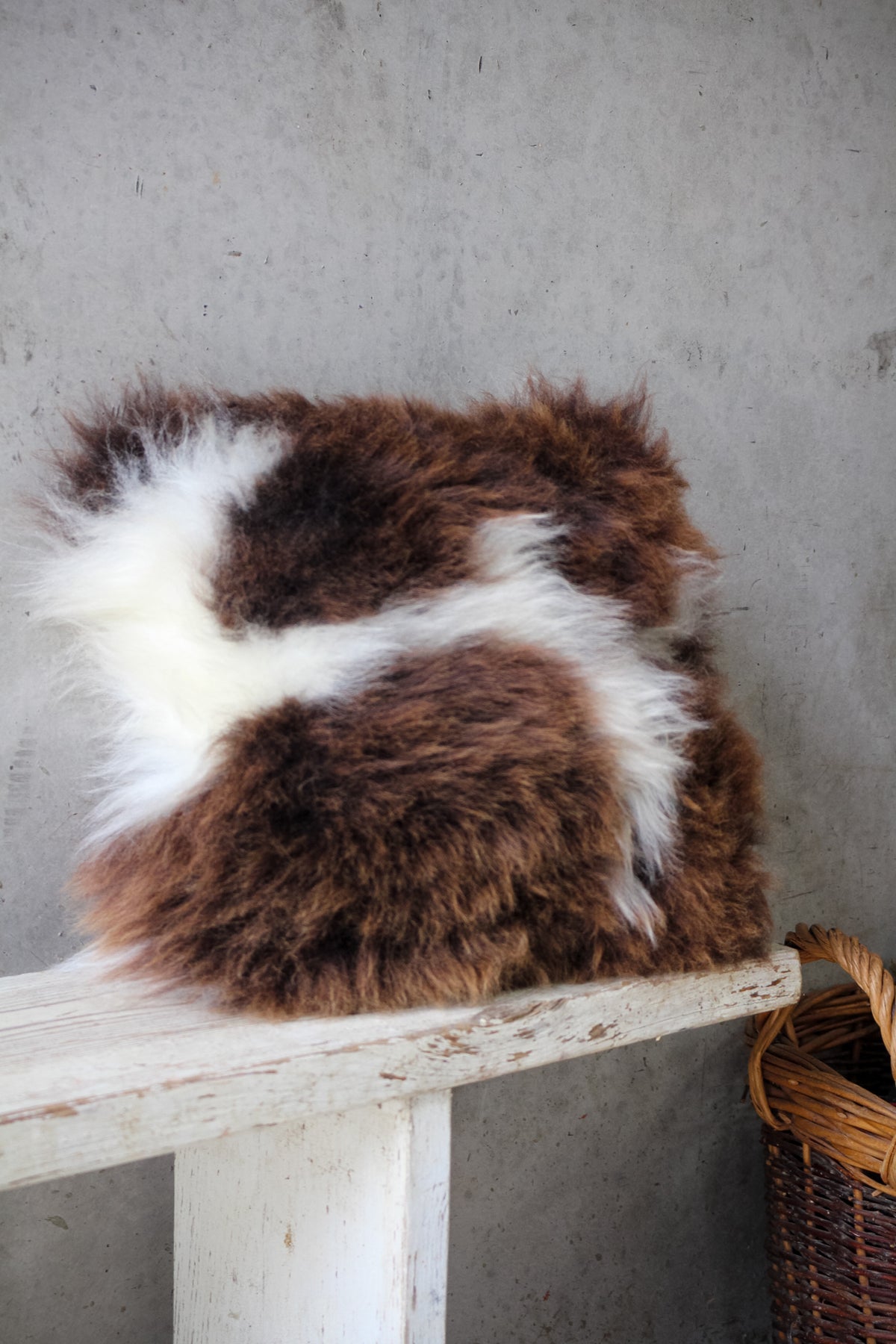 Jacob Square Cushion
