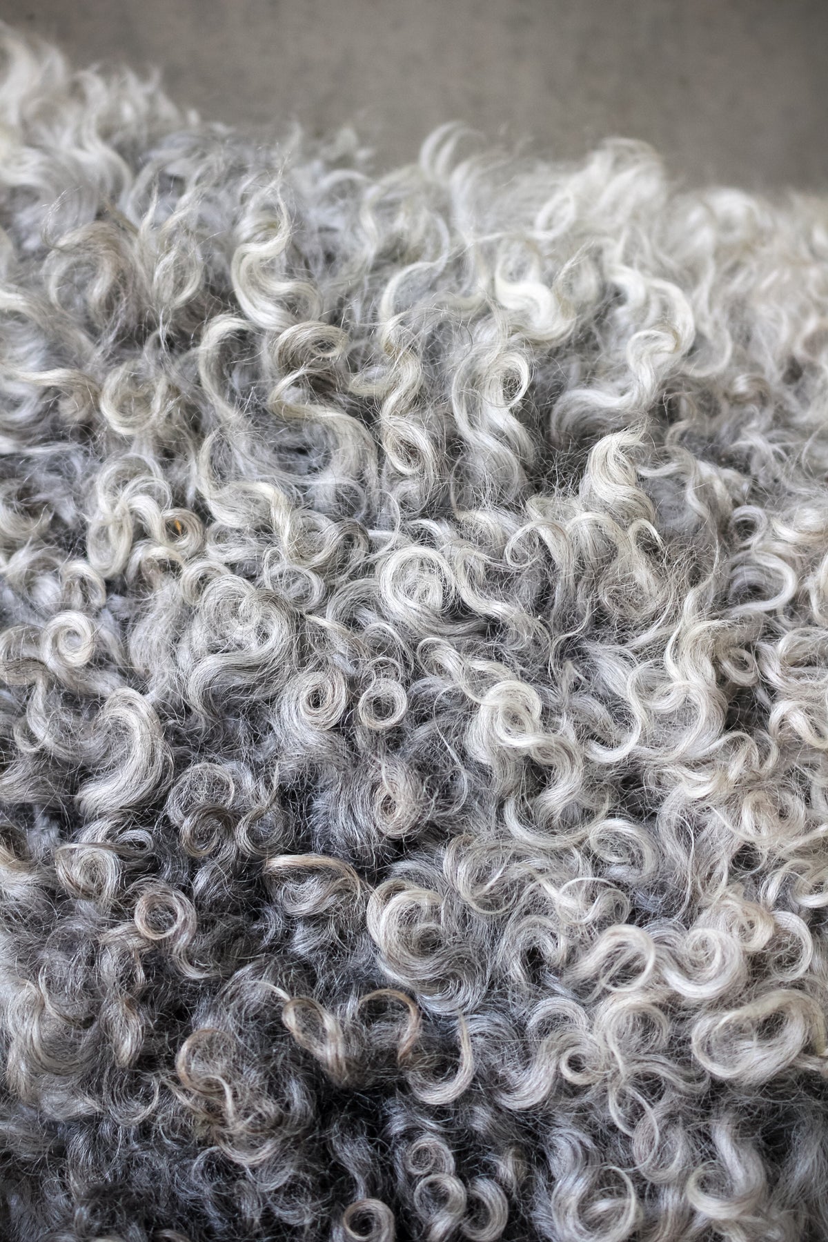 Gotland Cushion