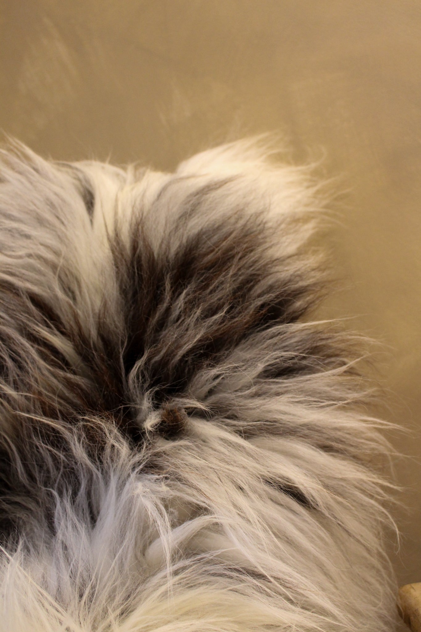 Herdwick Cross Sheepskin Rug